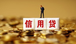 成都私借哪有个人借贷-成都私借小额贷款公司-成都私借私借空放免费上门
