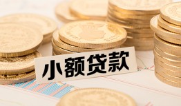 成都私借身份证贷款平台-成都私借私人借贷不查征信-成都私借空放借钱